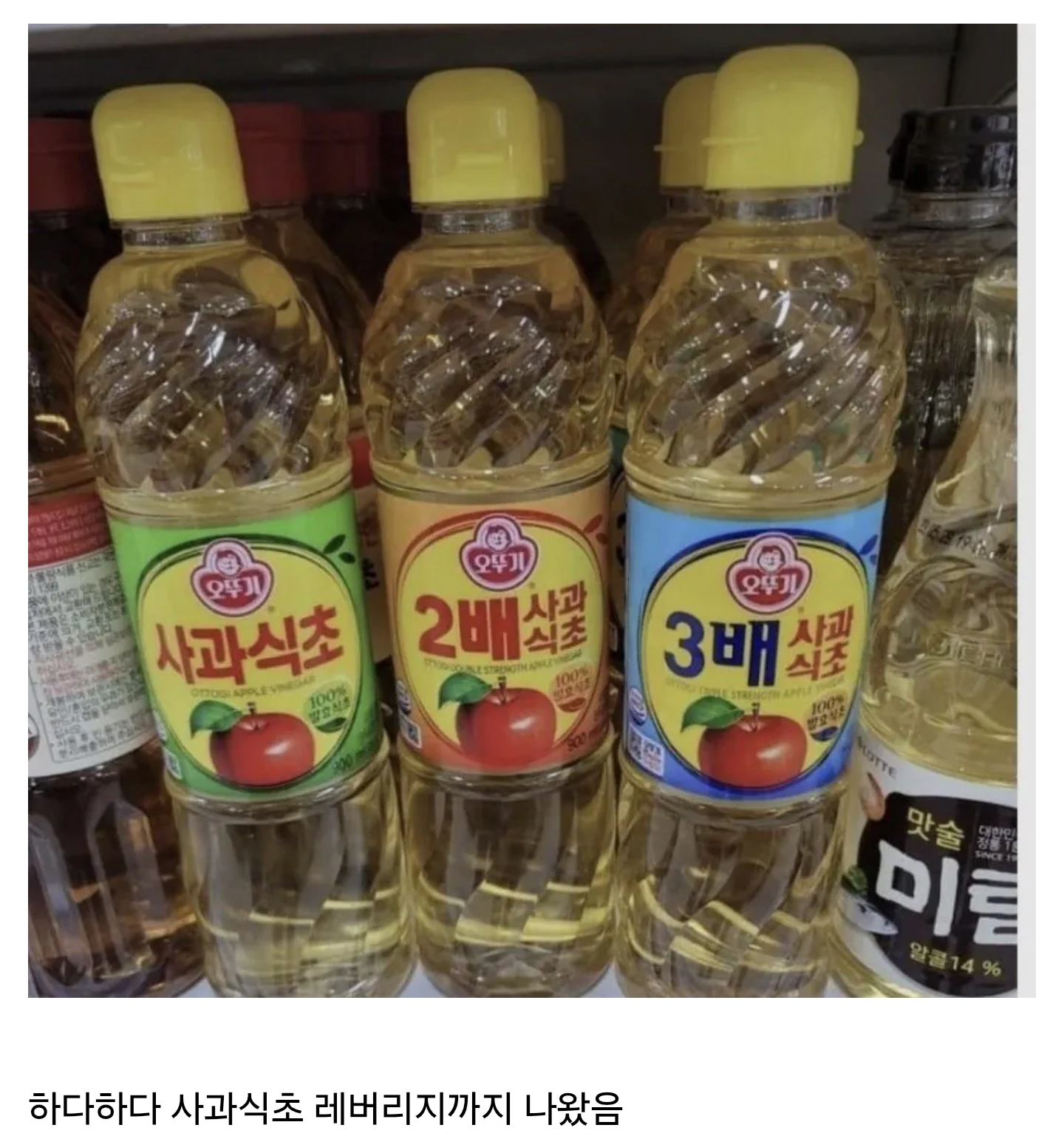 GGGBjK