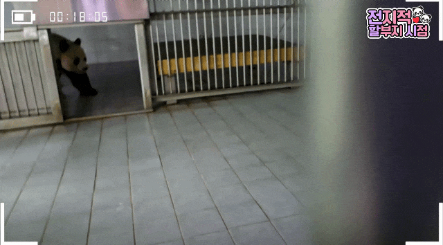 GGpBRJ.gif