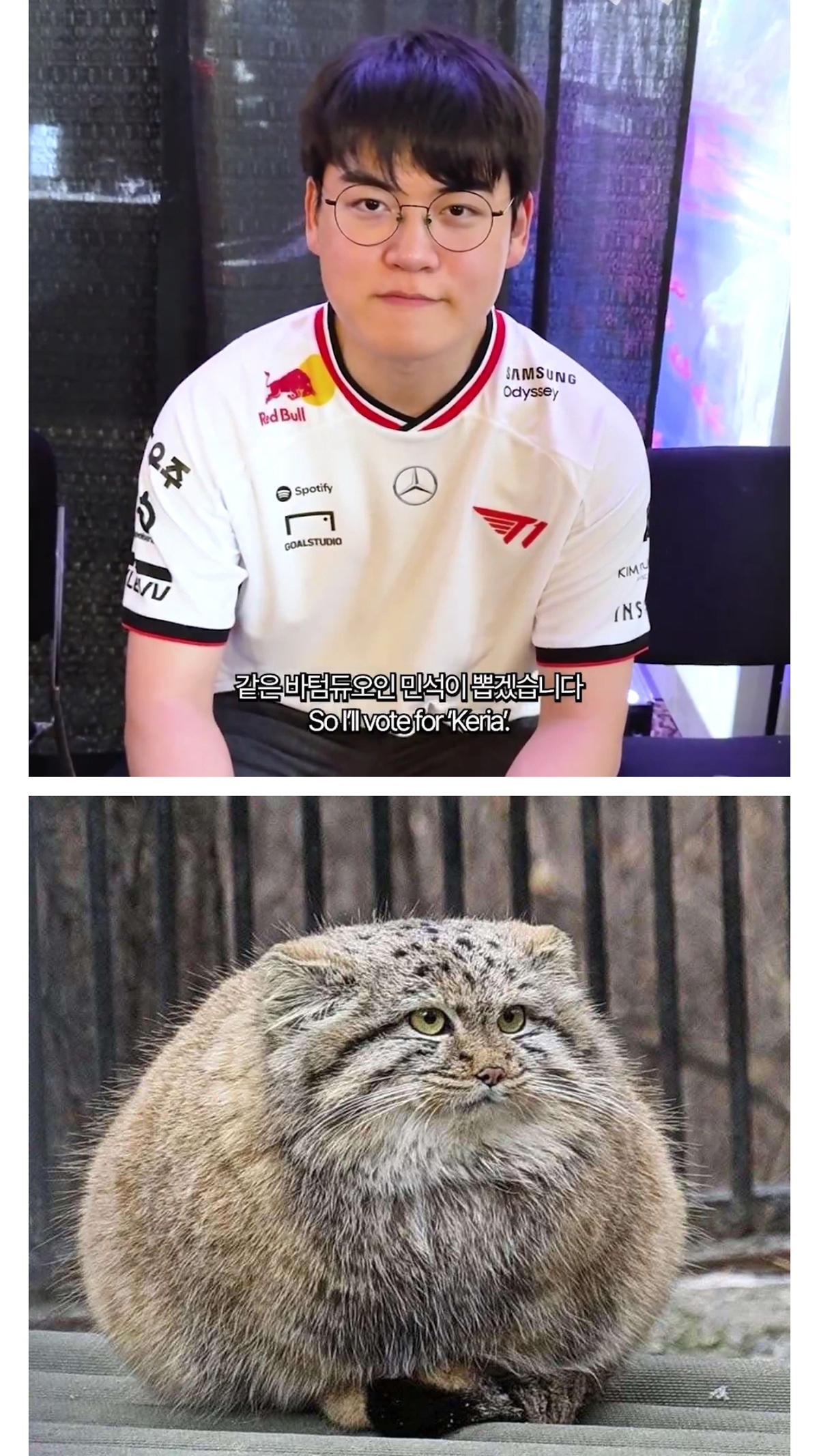 GHbynL