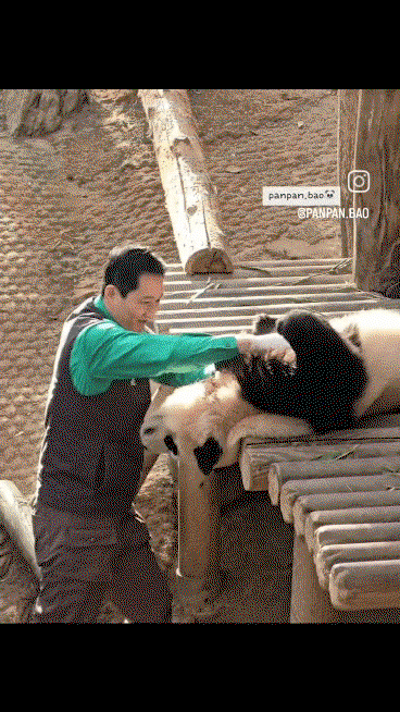 GIgdET.gif