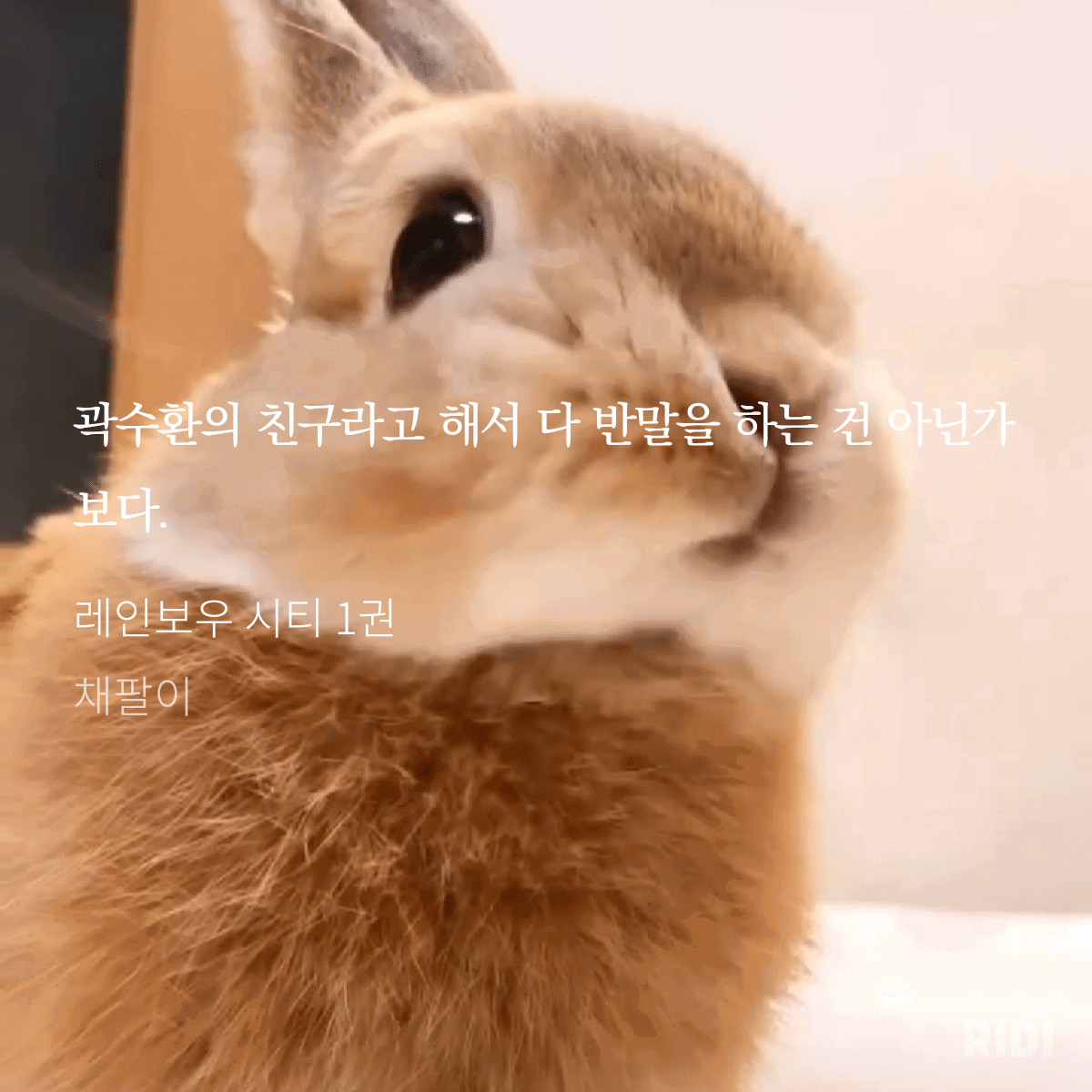 GKkYJ.png