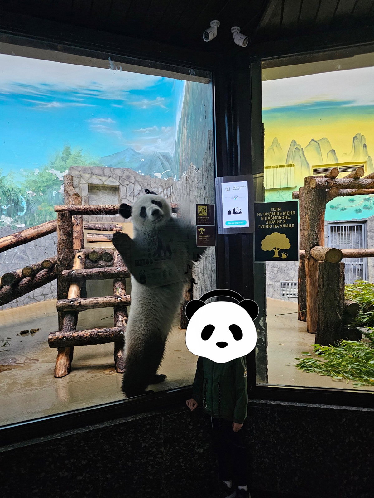 GLPIvf