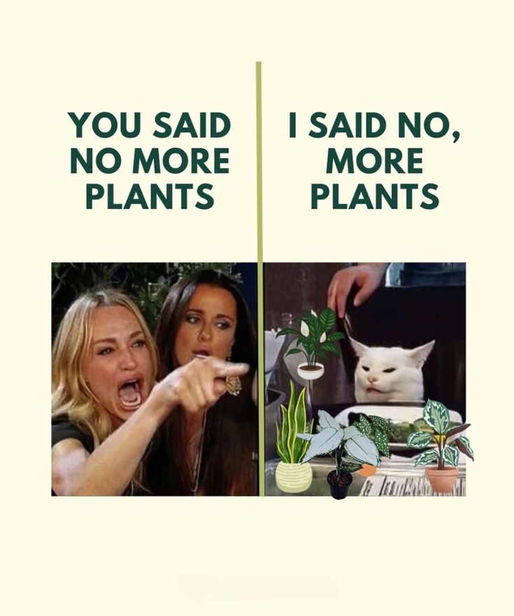 GObkVW