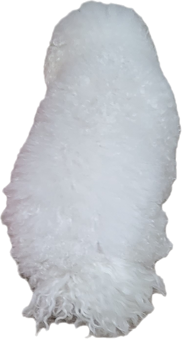 GOsrIC