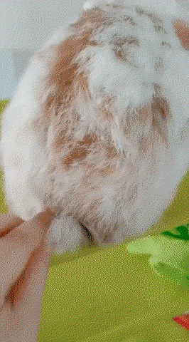GRClGK.gif