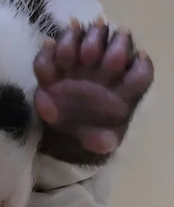GSJlsQ