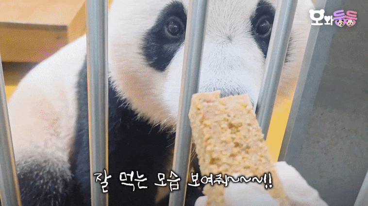 GSKSQu.gif