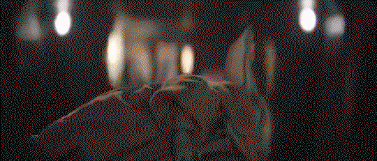 GSfkkY.gif