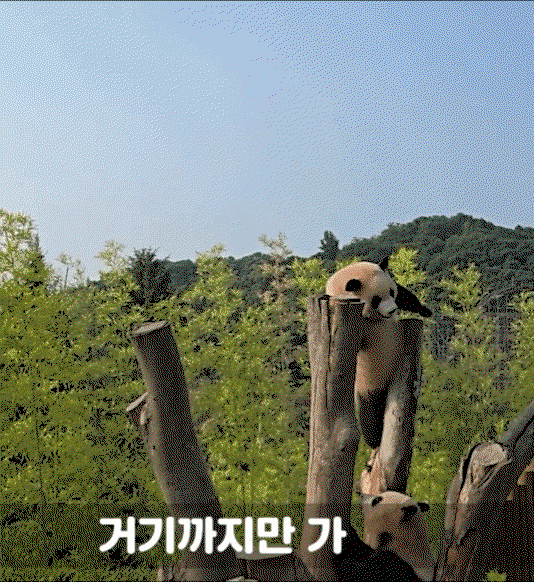 GUGnoe.gif