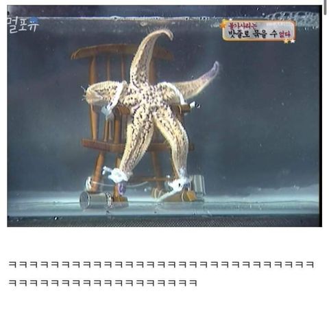 GUIVh.jpg
