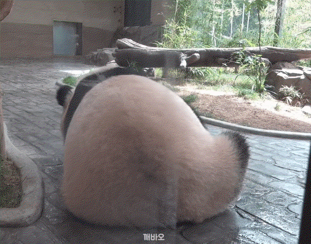 GVagQg.gif