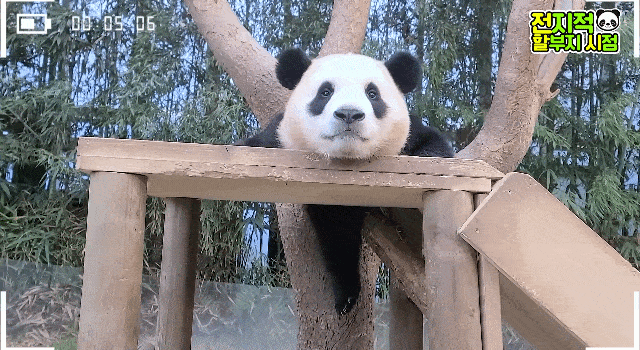 GWBpdt.gif