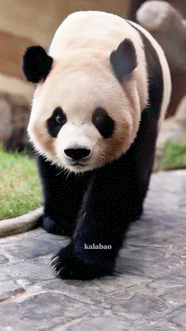 GXevHx.gif