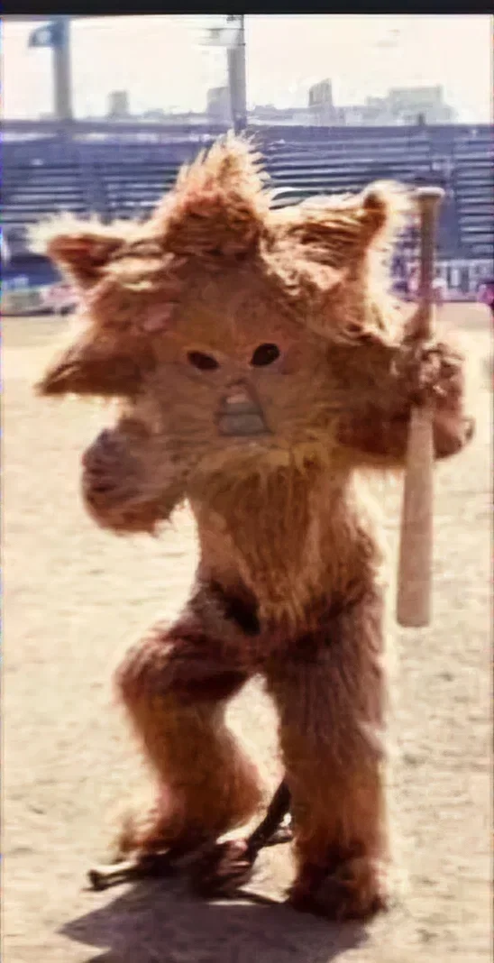 GXrAjr