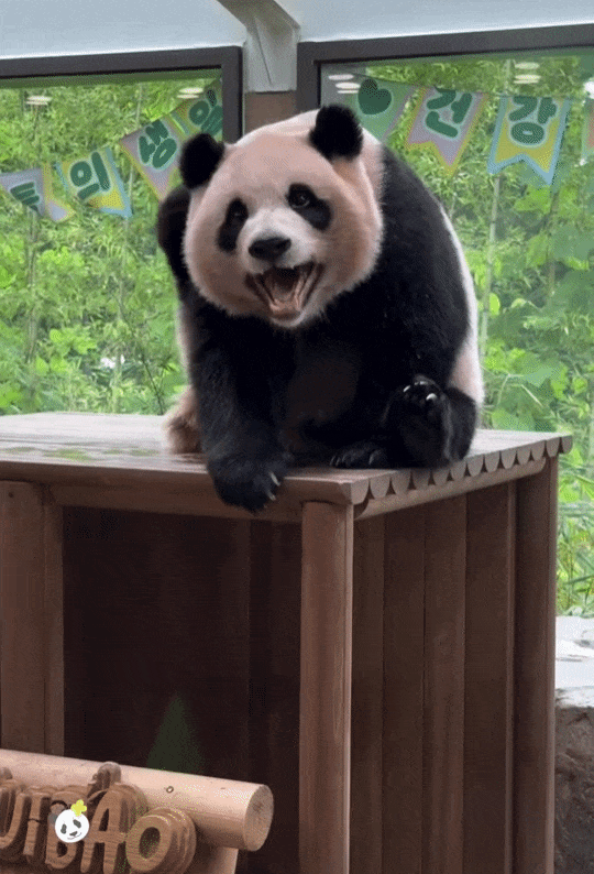 GYMZXu.gif