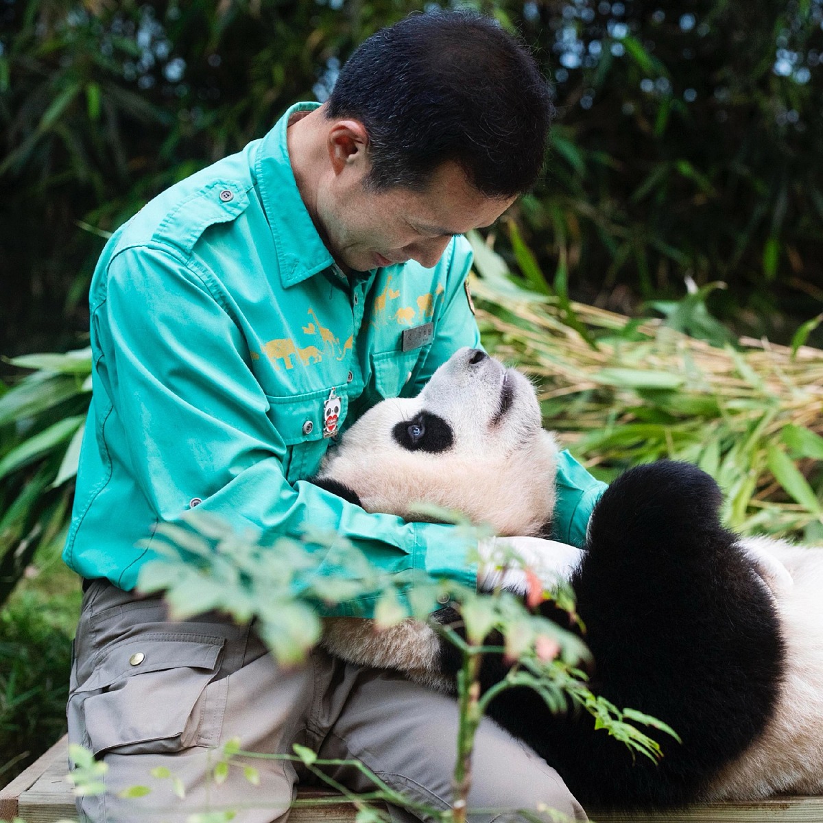 돌 전 아기 그림책] 사랑해 사랑해 사랑해 / 사랑해 모두모두 사랑해 : 네이버 블로그, image size:1200x1200