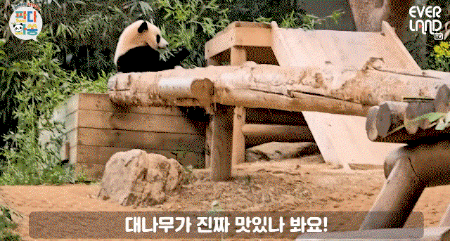 GZsDdB.gif