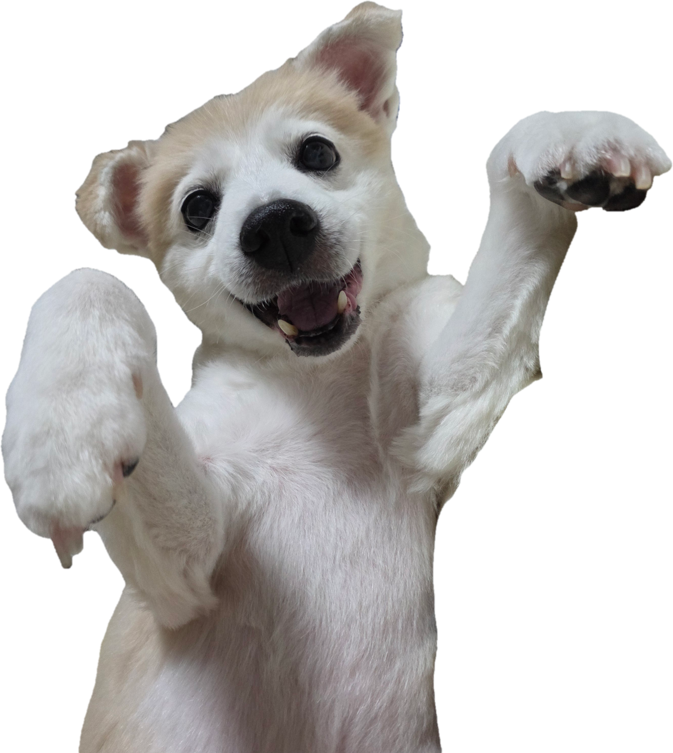 GaVEaw.png