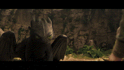 GaZAvk.gif