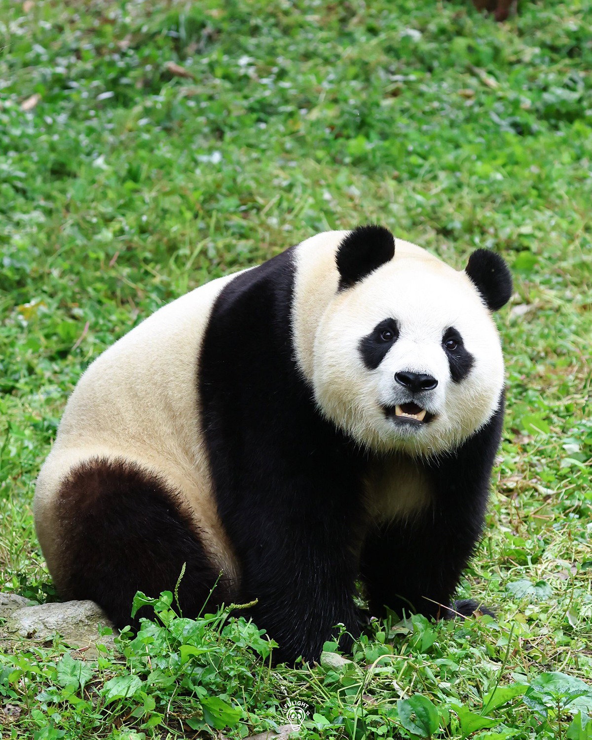 GafKTJ