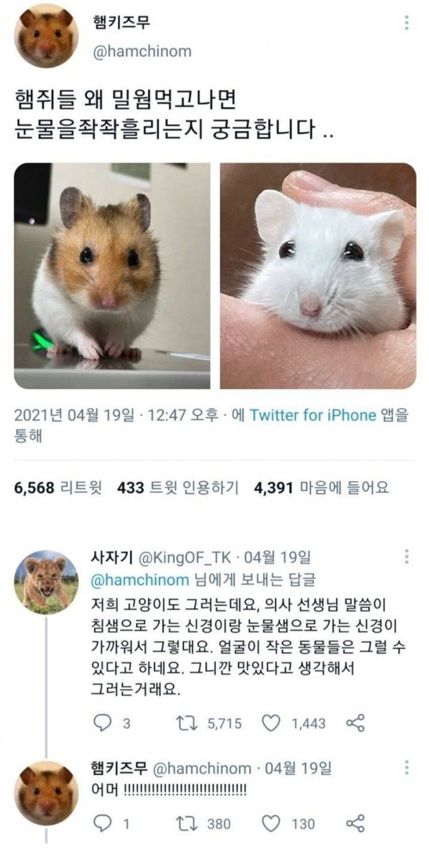 GgGiIm