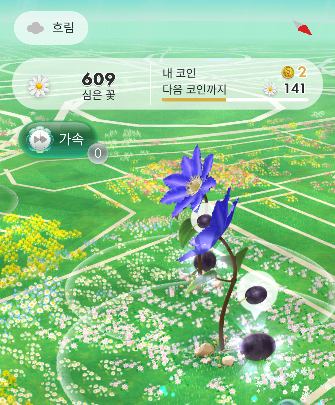 GgKNSP