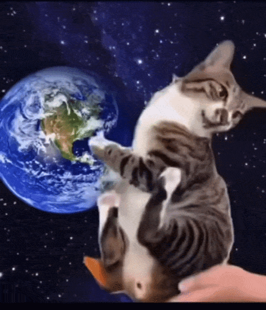 GhzUYb.gif