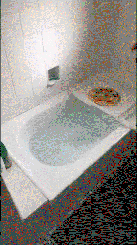 GiDDbt.gif