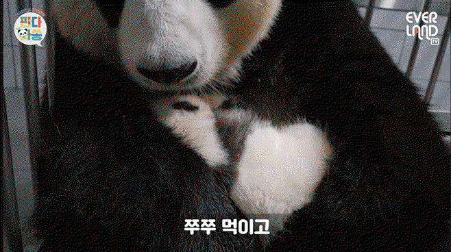 GjNKso.gif