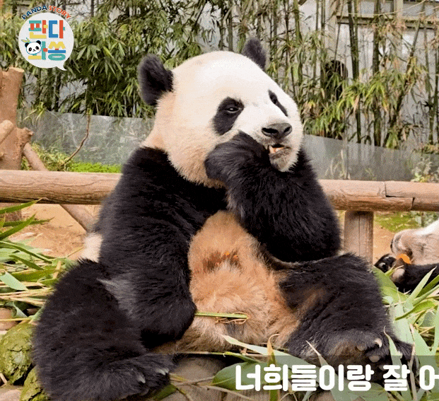 GkshjL.gif
