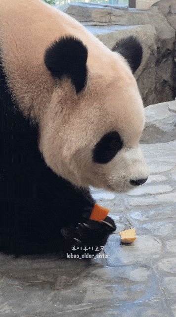 GldCQF.gif