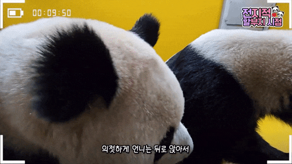 GmrfdL.gif