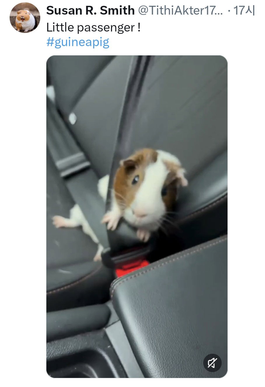 GpiyIz