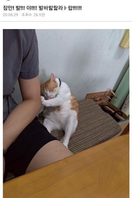 GuBbsd