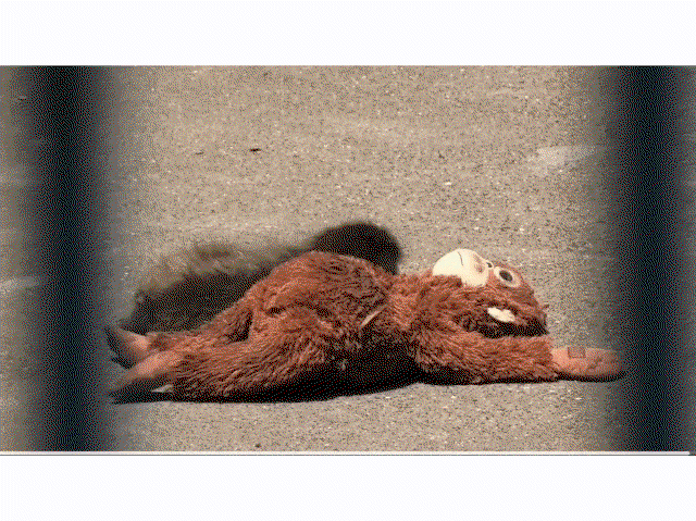 GuIQRM.gif