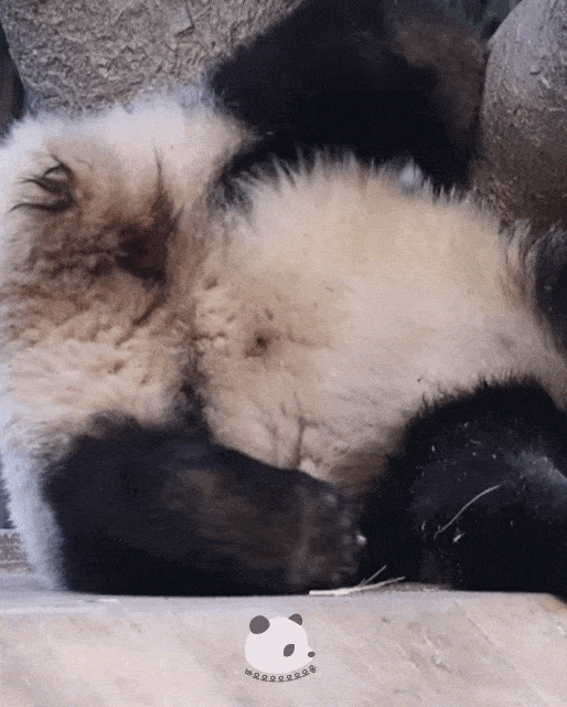 GulbLu.gif