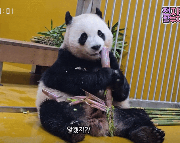 GvmInW.gif