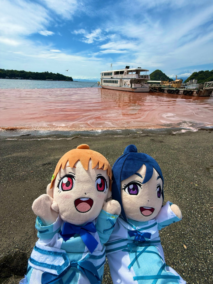 Gvwuba