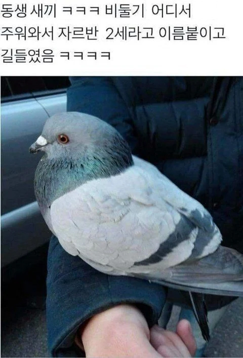 GwBNAi