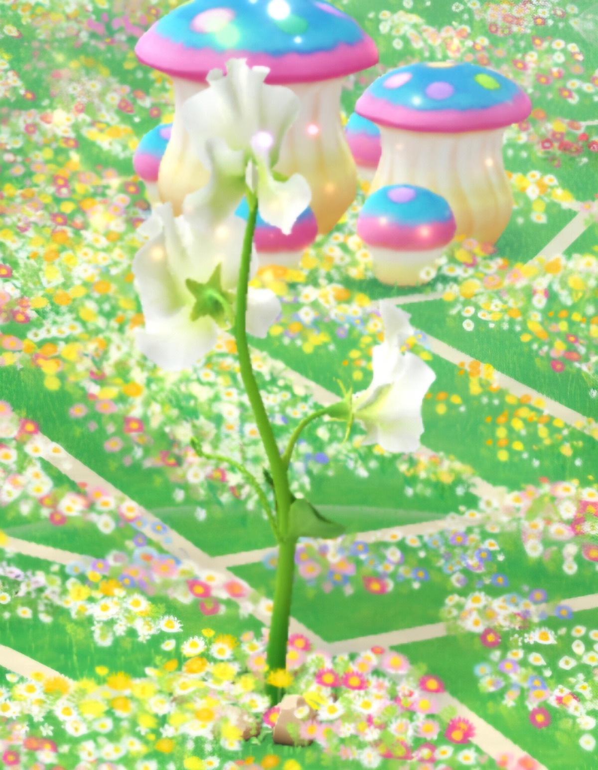 GyXSLL