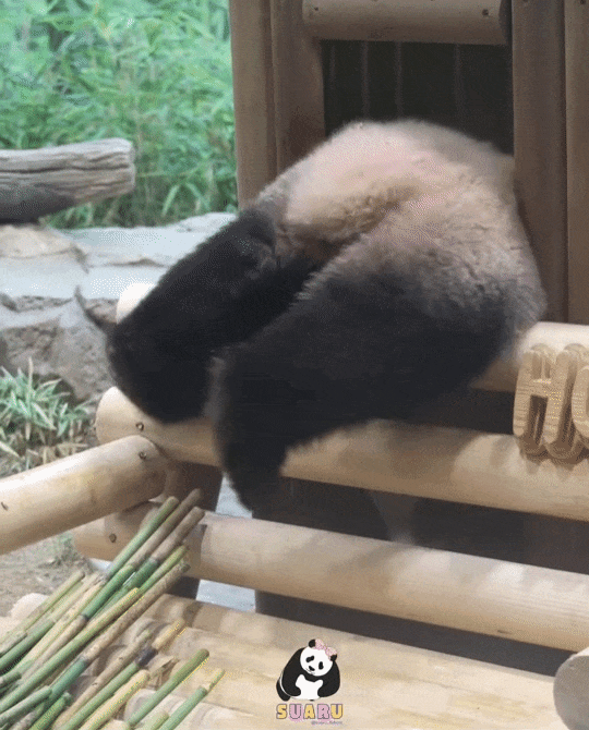 GyhDhd.gif