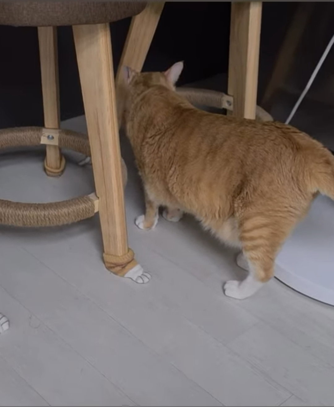 HADtbL