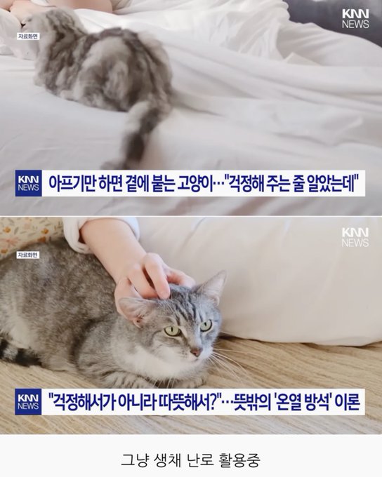 HAEUin