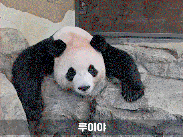 HBRmTB.gif