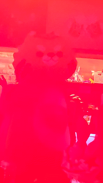 HCaJHN.gif