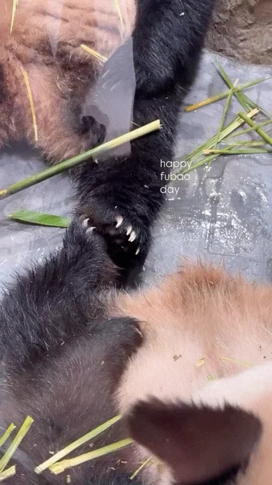 HDuQnC