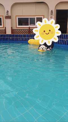HEqiOD.gif