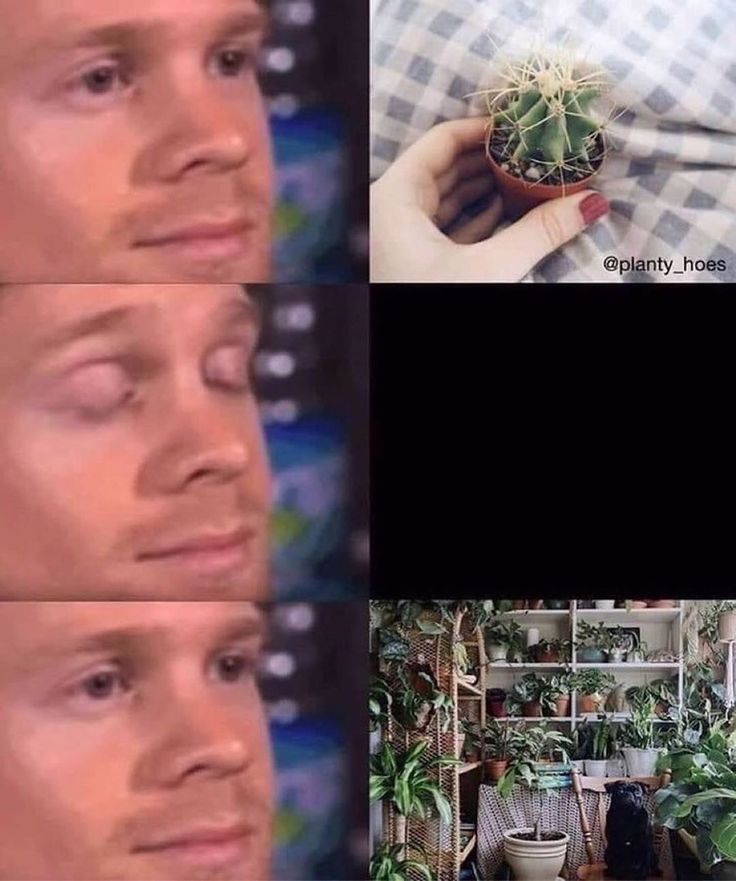 HFRgIB