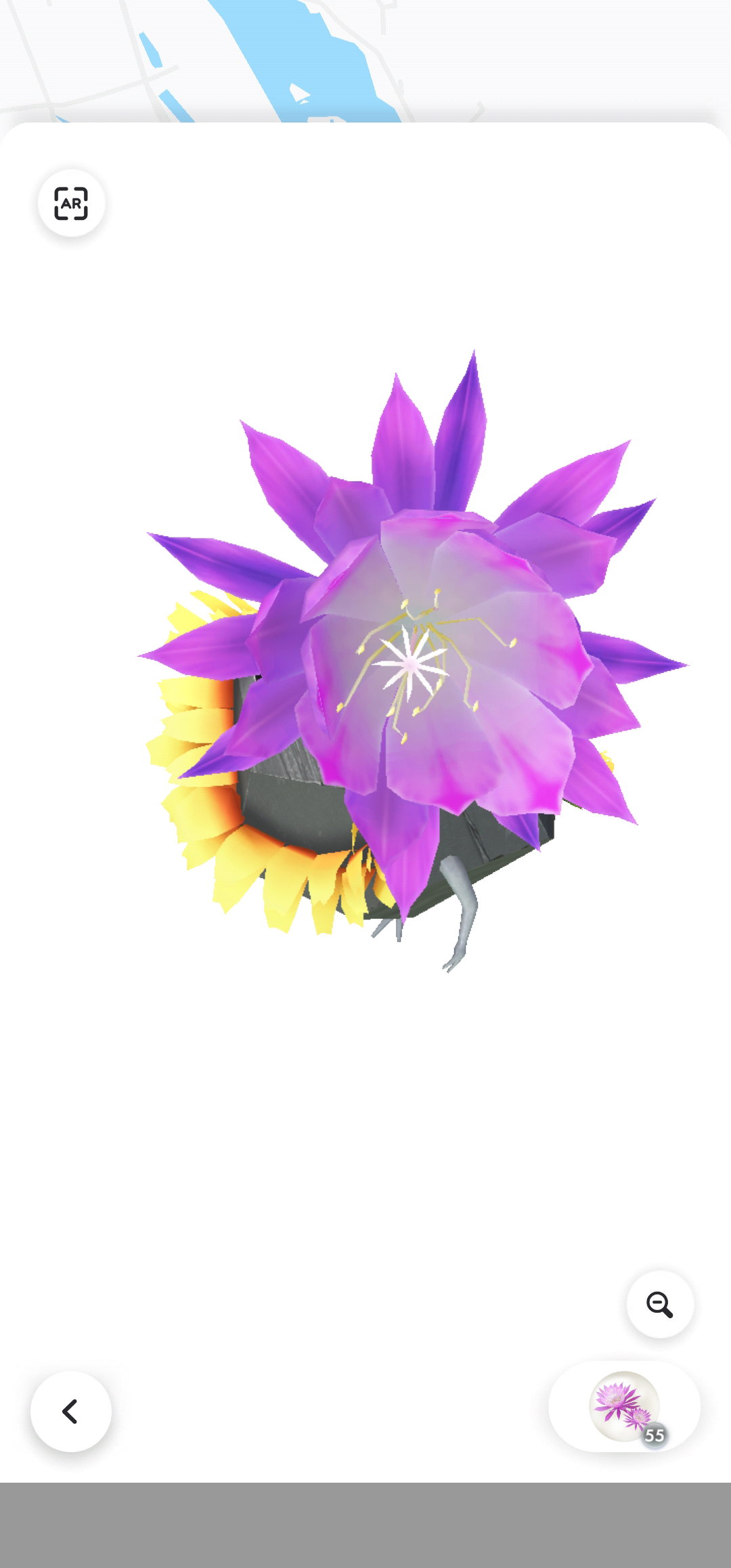 HGdSFH
