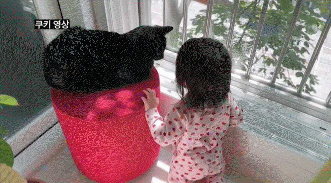 HHsyBt.gif